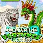 Double Fortune game thumbnail